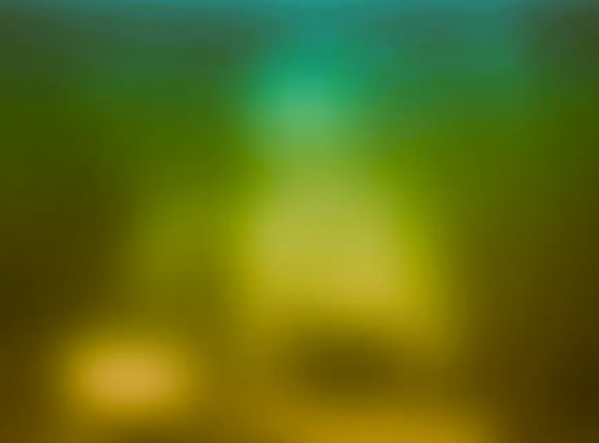 Niki Live streaming platform for hosts and agents